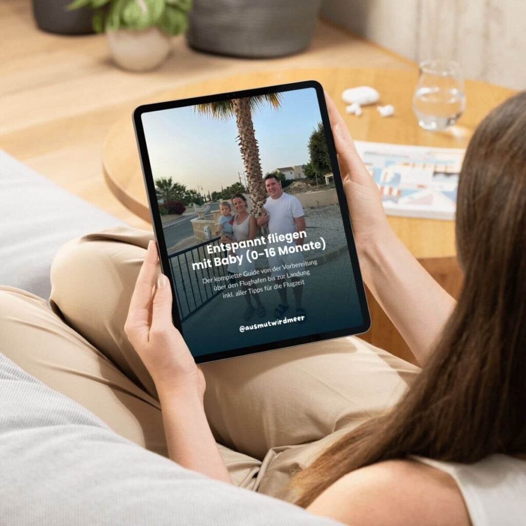 Fliegen mit Baby eBook